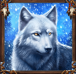 A white Wolf